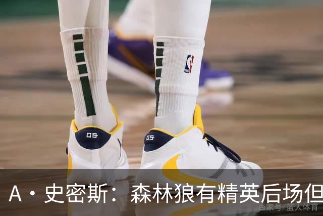 A·史密斯：森林狼有精英后场但体型变小 难应对雷霆马刺火箭掘金